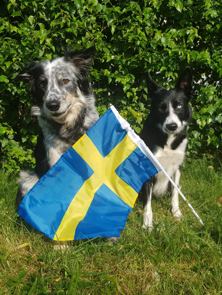 Foto på Flinga & Lexie