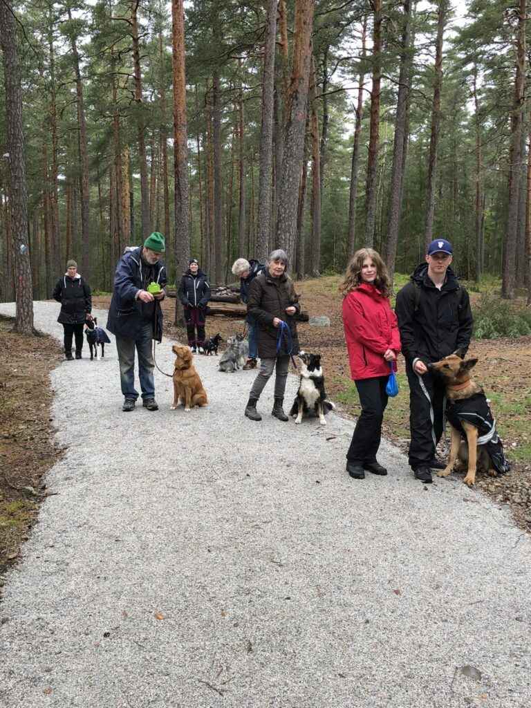 Hundmötesrundan Hösten 2025