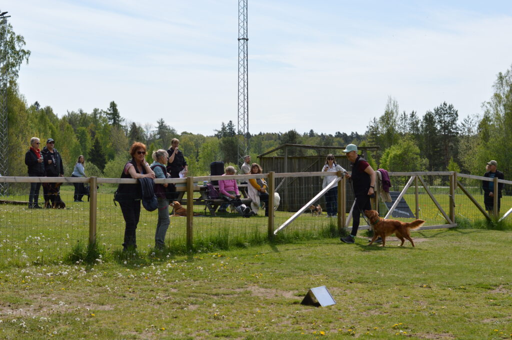 Temakvällar